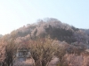 2014_Hanami-0327