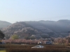 2014_Hanami-0342