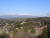 2014_Hanami-0344