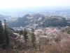 2014_Hanami-0348