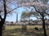 2014_Hanami-0358