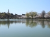 2014_Hanami-0375