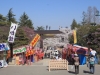 2014_Hanami-0386