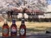 2014_Hanami-0396